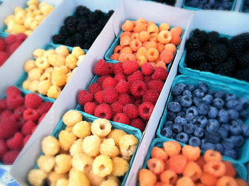 Fresh berries in cardboard pints