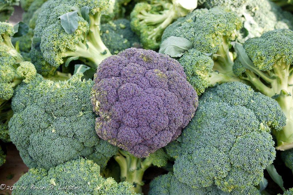 Broccoli Brian Luster - Glutathione Supplementation Improves Health