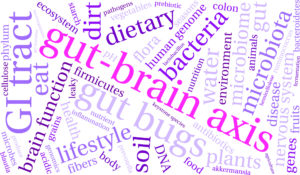 Gut Brain word cloud 300x175 - The Gut Brain Axis. Your Ally for Better Health