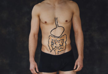 Digestive tract - by Doug Cook RD