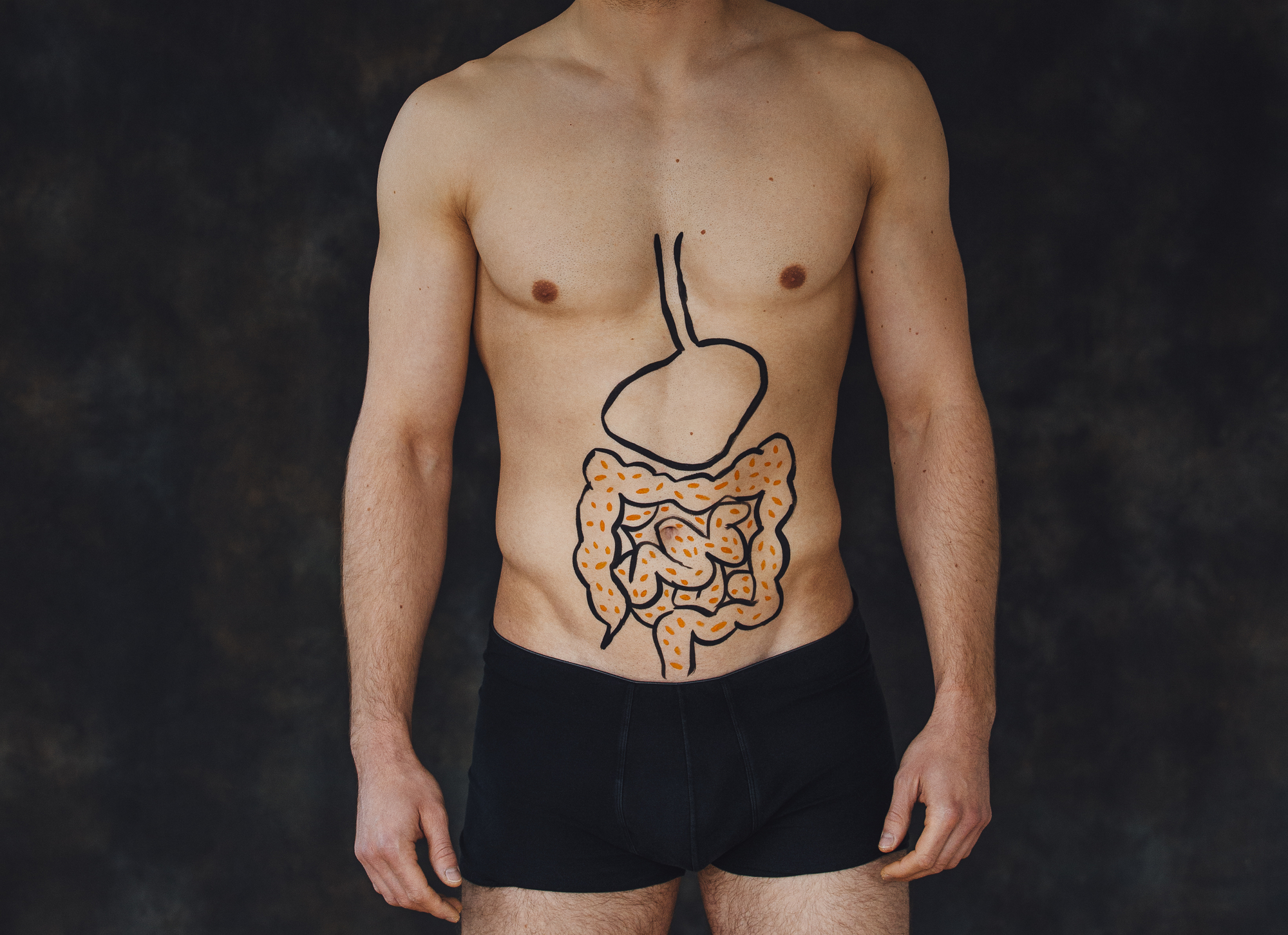 Digestive tract torso - Is Leaky Gut Real?