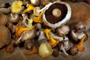 Mushrooms 2 300x200 - 5 Ways To Help A Sluggish Immune System