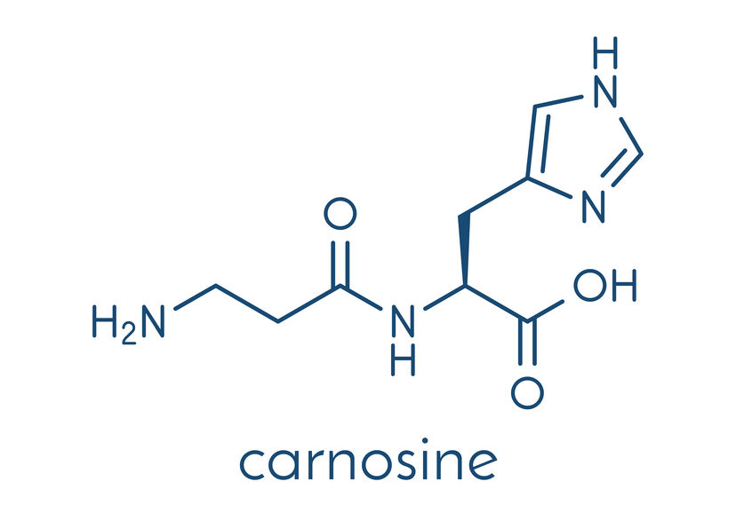 Carnosine (L-carnosine) food supplement molecule.